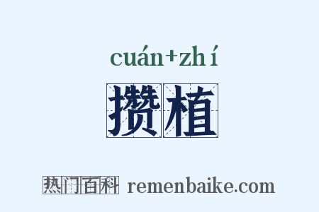 攒植是什么意思的图片
